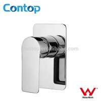 Watermark Approval DR Brass Chrome finished Wall Shower Mixer