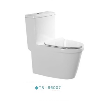 TB-66007 Tengbo one piece dual-flush sanitary ware bathrooms ceramic toilet