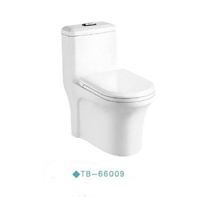 TB-66009 Tengbo dual-flush one piece ceramic toilet sanitary ware